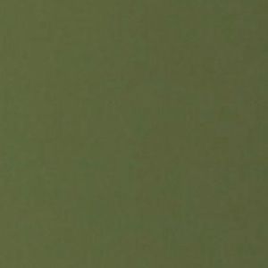 Meet your Posher, Ava